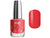Vernis Extrême - Couleurs